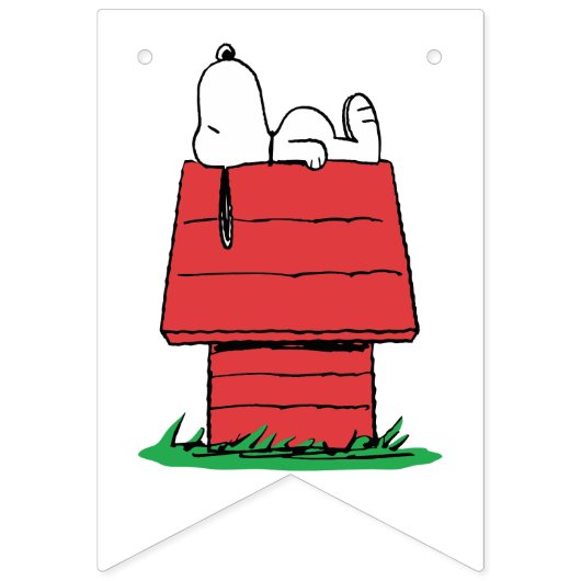 Peanuts Snoopy Dog House Birthday  Bunting Flags Vlaggetjes (Eerste vlag)