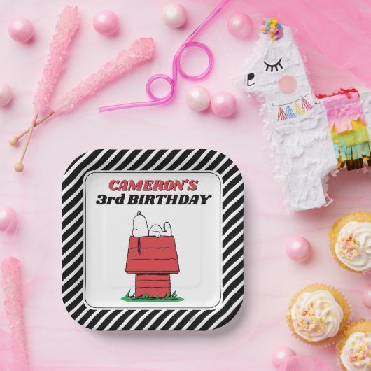 Peanuts Snoopy Dog House Birthday Paper Plates Papieren Bordje (Feest)