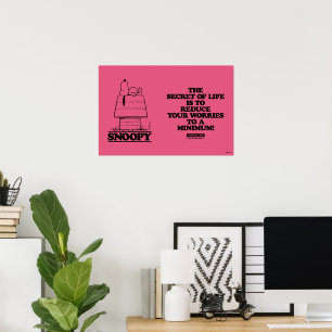 Peanuts   Snoopy het geheim van het leven Poster