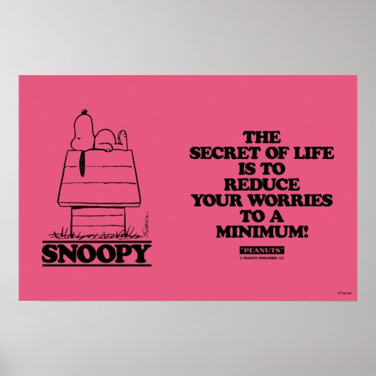 Peanuts | Snoopy het geheim van het leven Poster (Voorkant)