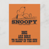 Peanuts | Snoopy Slapen in de zon Briefkaart (Voorkant)