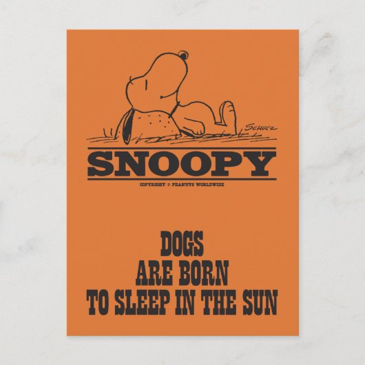 Peanuts | Snoopy Slapen in de zon Briefkaart (Voorkant)