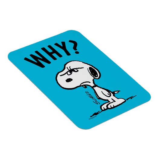 Peanuts | Snoopy vraagt zich af waarom? Magneet (Rechterzijde)