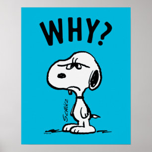 Peanuts   Snoopy vraagt zich af waarom? Poster