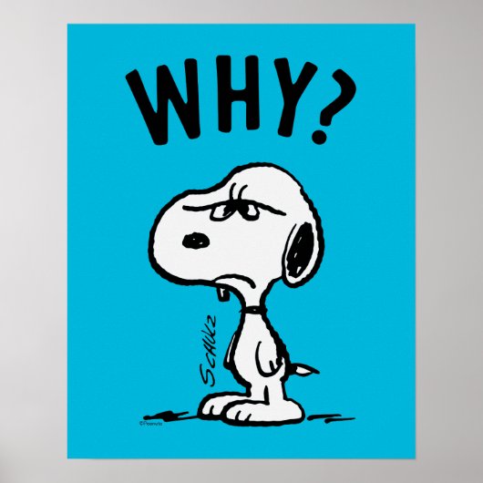 Peanuts | Snoopy vraagt zich af waarom? Poster (Voorkant)