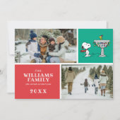 Peanuts | Snoopy & Woodstock Bevroren Vogeldrinkba Feestdagenkaart (Voorkant)