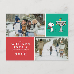 Peanuts   Snoopy & Woodstock Bevroren Vogeldrinkba Feestdagenkaart