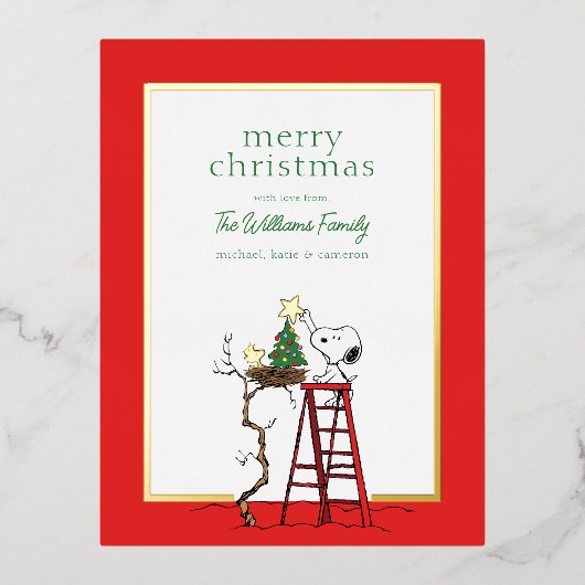 Peanuts | Snoopy & Woodstock Familiefoto Folie Feestdagen Briefkaart (Voorkant)