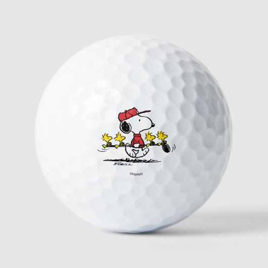 Peanuts | Snoopy, Woodstock & Friends Golf Golfballen (Voorkant)