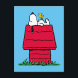 Peanuts | Snoopy & Woodstock Hondenhok Briefkaart<br><div class="desc">Bekijk dit leuke Peanuts-ontwerp met Snoopy en Woodstock.</div>
