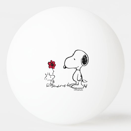 Peanuts | Snoopy & Woodstock Rood & Zwart Pingpongbal (Voorkant)