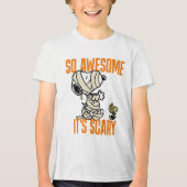 Peanuts | Snoopy & Woodstock Zo Geweldige Het is e Tri-Blend Shirt (Voorkant)