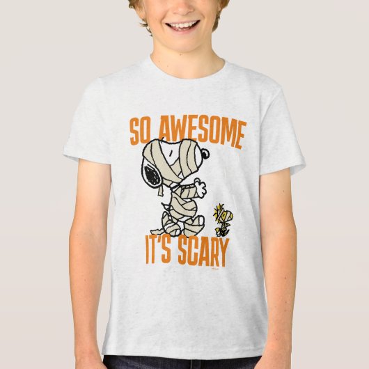 Peanuts | Snoopy & Woodstock Zo Geweldige Het is e Tri-Blend Shirt (Voorkant)