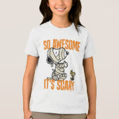 Peanuts | Snoopy & Woodstock Zo Geweldige Het is e Tri-Blend Shirt (Voorkant)