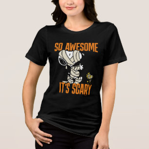 Peanuts Snoopy & Woodstock Zo Geweldige Het is e Tri-Blend Shirt