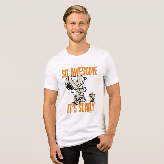Peanuts | Snoopy & Woodstock Zo Geweldige Het is e Tri-Blend Shirt (Voorkant volledig)