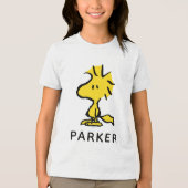 Peanuts | Snoopy's Friend Woodstock Tri-Blend Shirt (Voorkant)