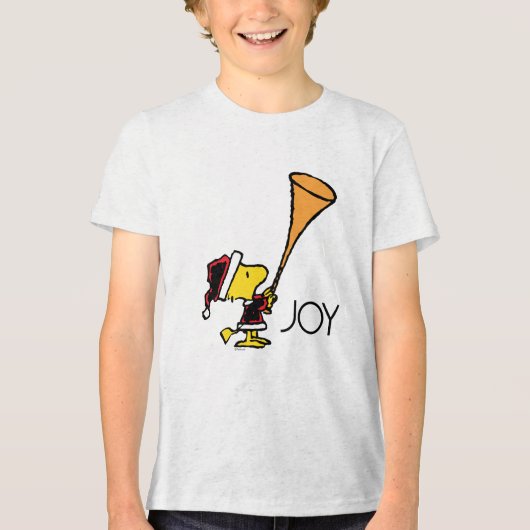 Peanuts | Woodstock Sinterklaas Tri-Blend Shirt (Voorkant)