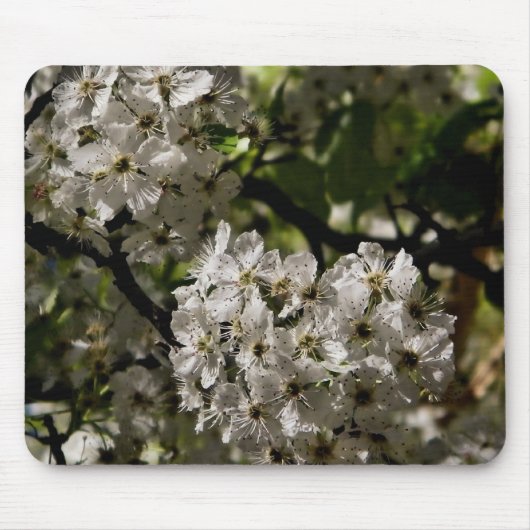 Pear bloesems muismat (Voorkant)