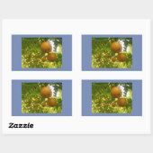 Pear Blooms Rechthoekige Sticker (Vel)