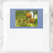 Pear Blooms Rechthoekige Sticker (Tas)