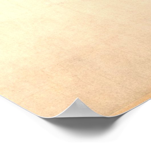 Pear Blossom Antiek Oriental ca.1280 Poster (Hoek)