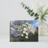 Pear Blossom Briefkaart (Staand voorkant)