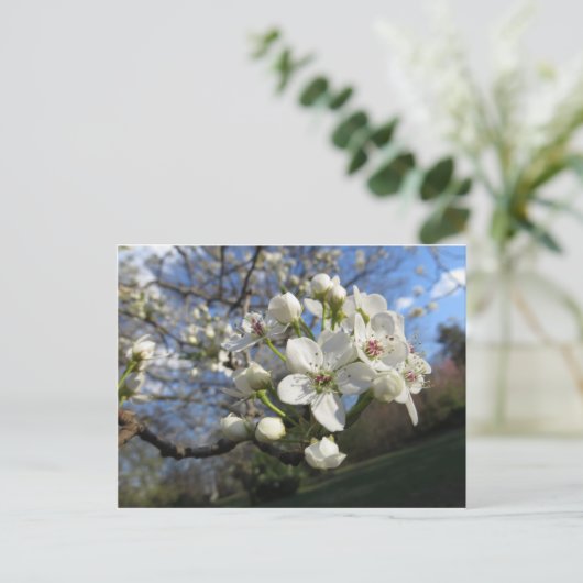 Pear Blossom Briefkaart (Staand voorkant)