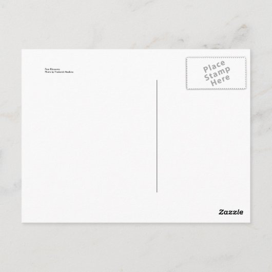 Pear Blossom Briefkaart (Achterkant)