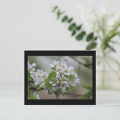 Pear Blossom Briefkaart (Staand voorkant)