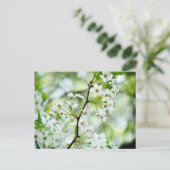 Pear Blossom Briefkaart (Staand voorkant)