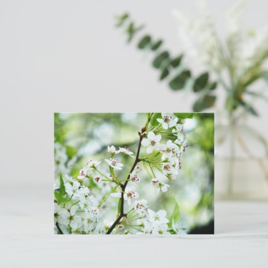 Pear Blossom Briefkaart (Staand voorkant)