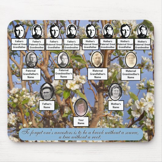 Pear Blossom Family Tree Foto's Ancestor Quote Muismat (Voorkant)