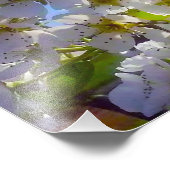 Pear Blossom Foto Afdruk (Hoek)