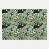 Pear Blossom in bloei Inpakpapier Vel (Voorkant)