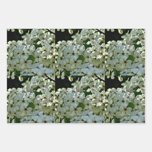 Pear Blossom in bloei Inpakpapier Vel (Voorkant)