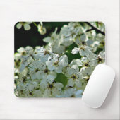 Pear Blossom in bloei Muismat (Met muis)