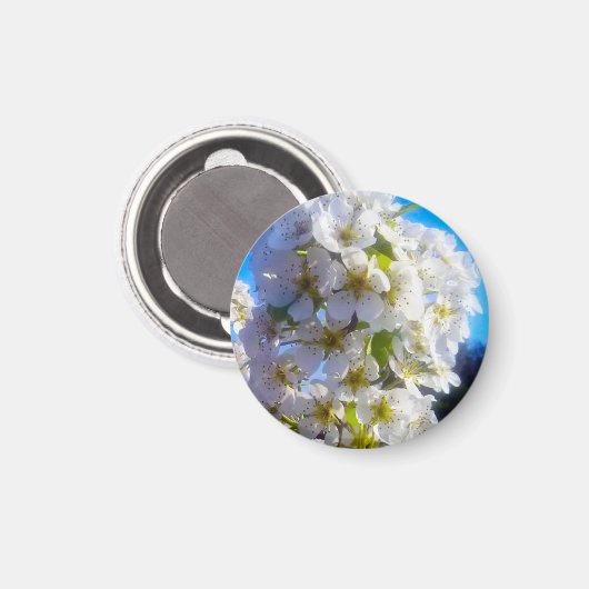 Pear Blossom Magneet (Voorkant / Achterkant)