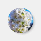 Pear Blossom Magneet (Voorkant)