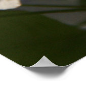 Pear Blossom Poster (Hoek)