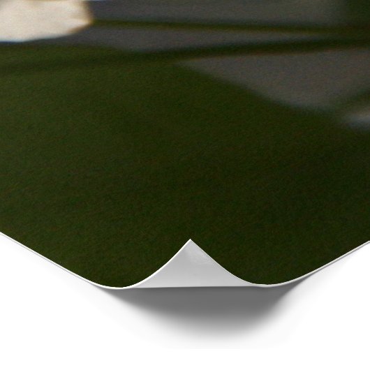 Pear Blossom Poster (Hoek)