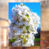 Pear Blossom Raamsticker (Vel 2)
