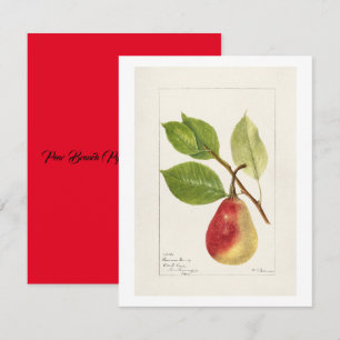 Pear Branch (Pyrus Communis)(1893) Klein Notitiekaartje
