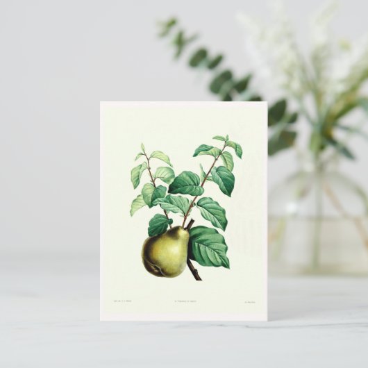 Pear Briefkaart (Staand voorkant)