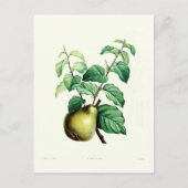 Pear Briefkaart (Voorkant)