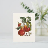 Pear Briefkaart (Staand voorkant)