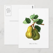 Pear Briefkaart (Voorkant / Achterkant)
