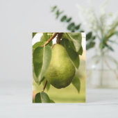 Pear Briefkaart (Staand voorkant)
