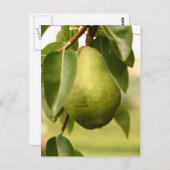 Pear Briefkaart (Voorkant / Achterkant)