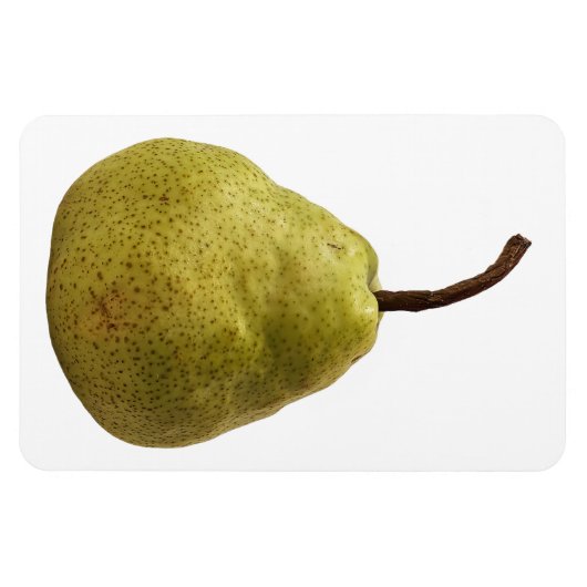Pear Fruit Foto Magneet (Horizontaal)